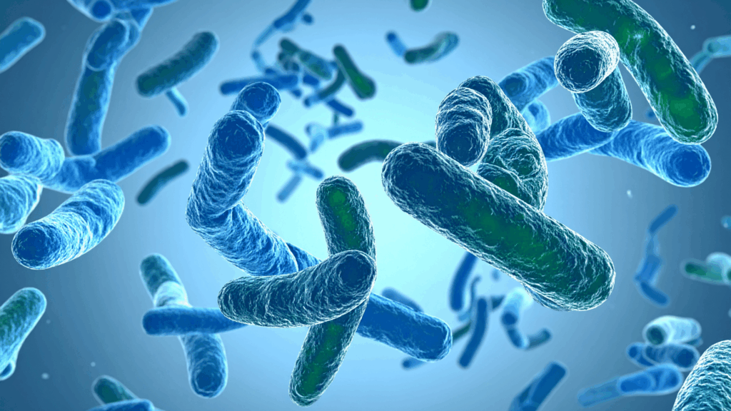 Molecular Diagnostics Highlighted During AMR Awareness Week